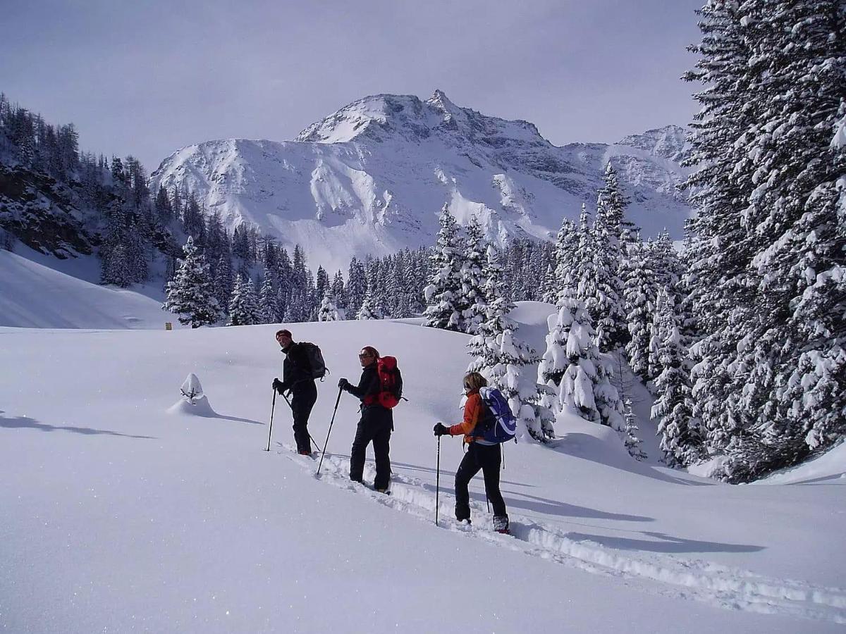 Appartements Kumming - Urlaub Inklusive Nationalparkcard Rauris Zewnętrze zdjęcie