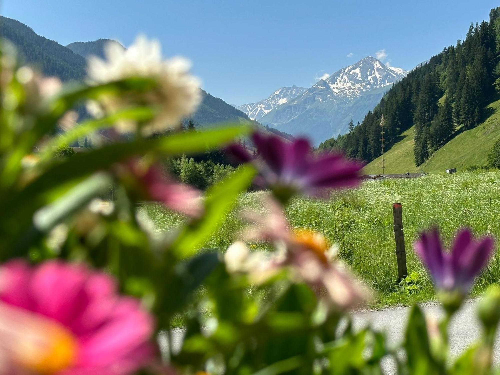 Appartements Kumming - Urlaub Inklusive Nationalparkcard Rauris Zewnętrze zdjęcie